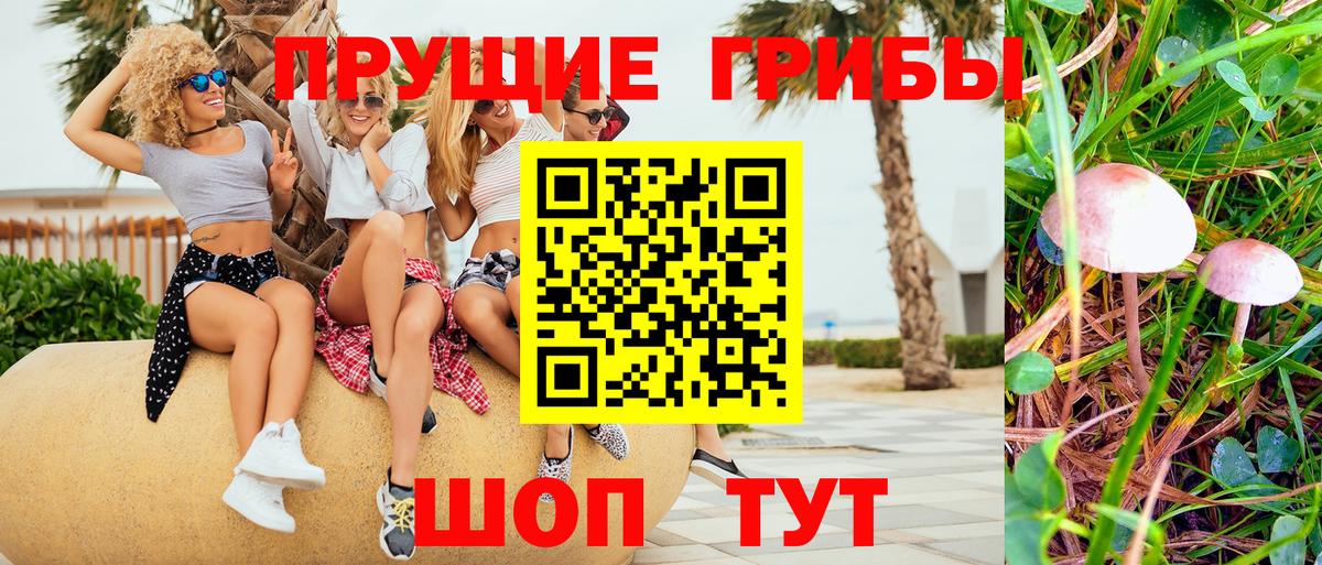 Псилоцибиновые грибы мицелий Россошь