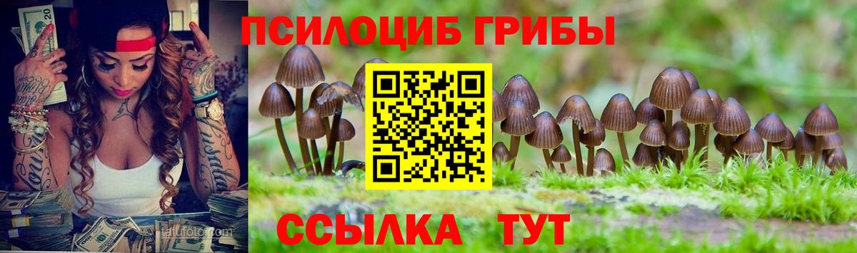 Псилоцибиновые грибы GOLDEN TEACHER  Вход с VPN  как найти закладки  Россошь 