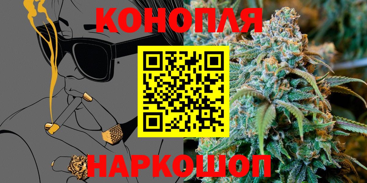 Конопля тримм  Вход с VPN  Россошь  Шишки марихуана планчик 